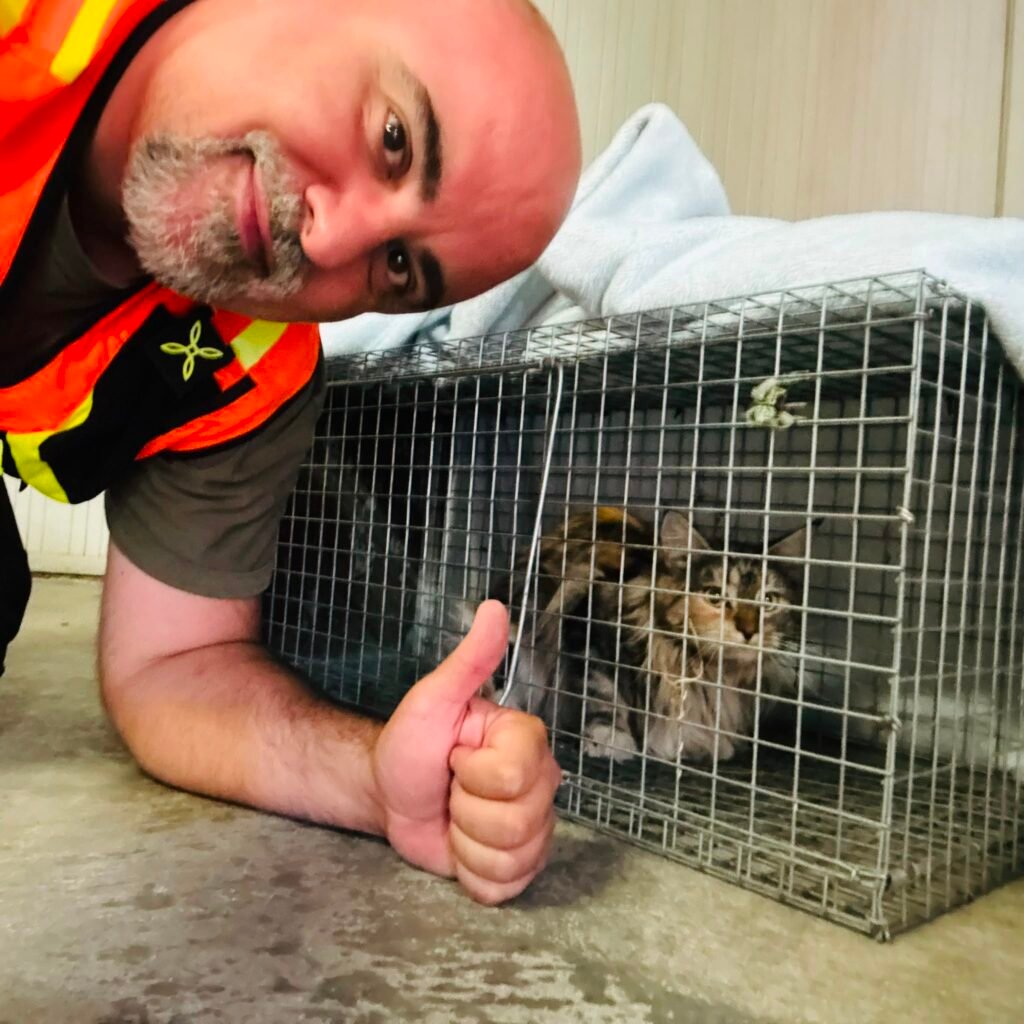Gatto recuperato dopo una ricerca professionale