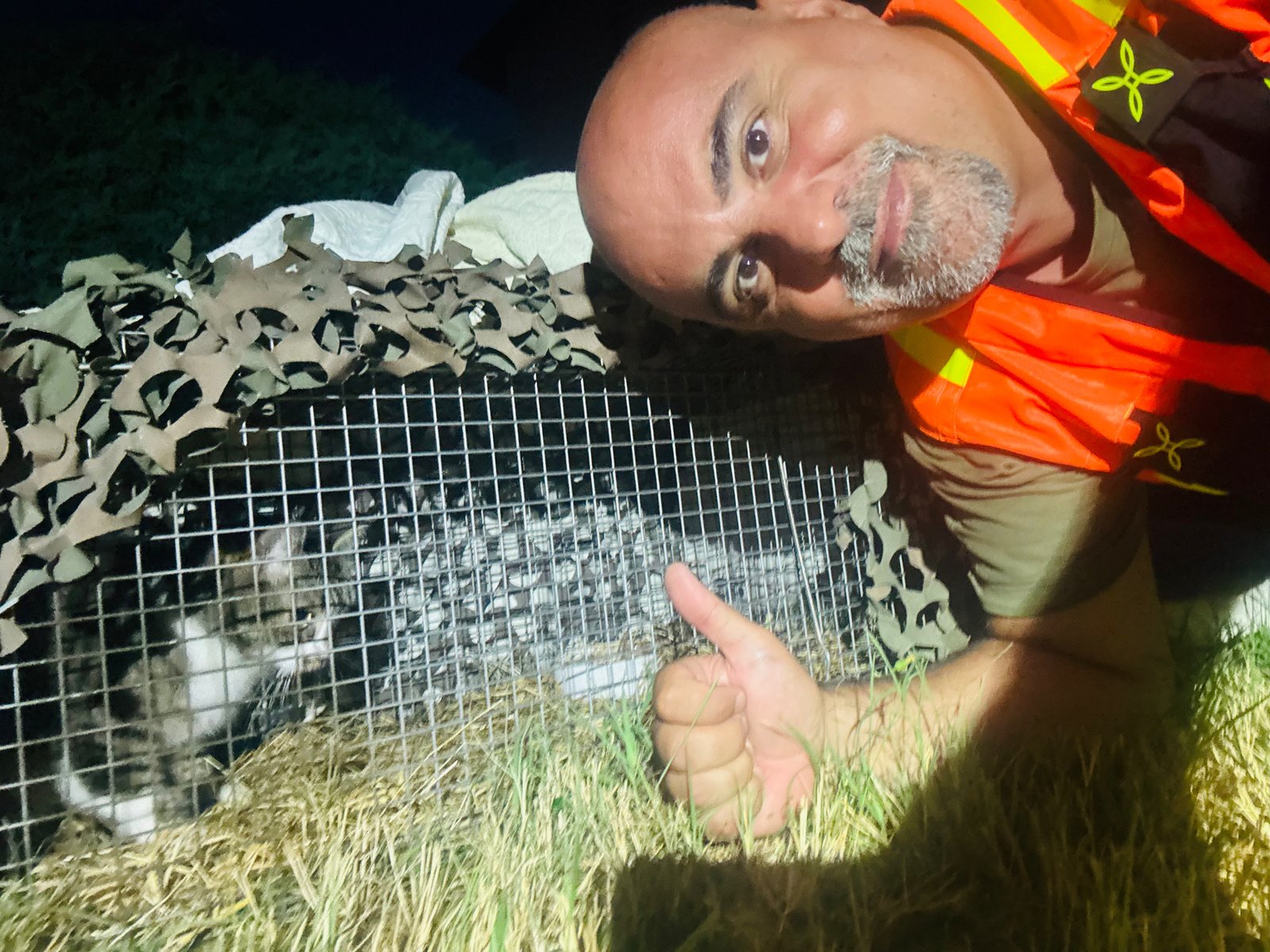 Gatto recuperato con una gabbia trappola selettiva controllata