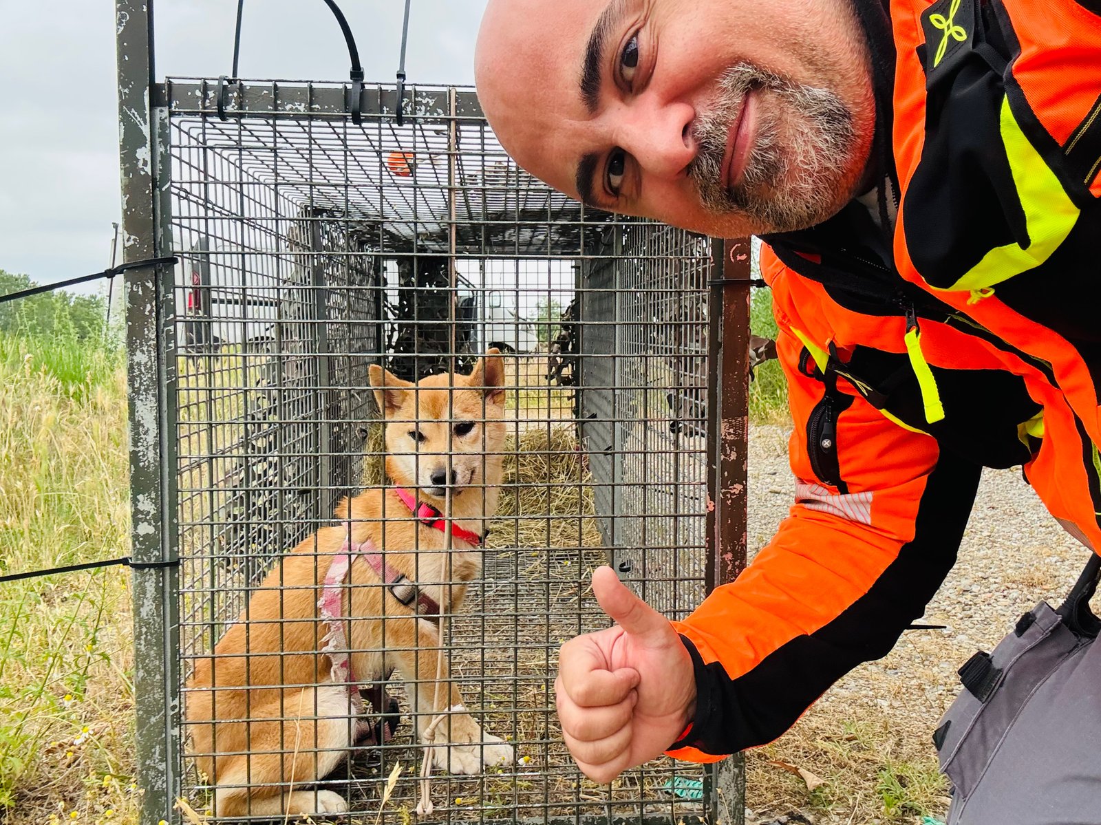 Aiko in sicurezza dentro una gabbia con un operatore