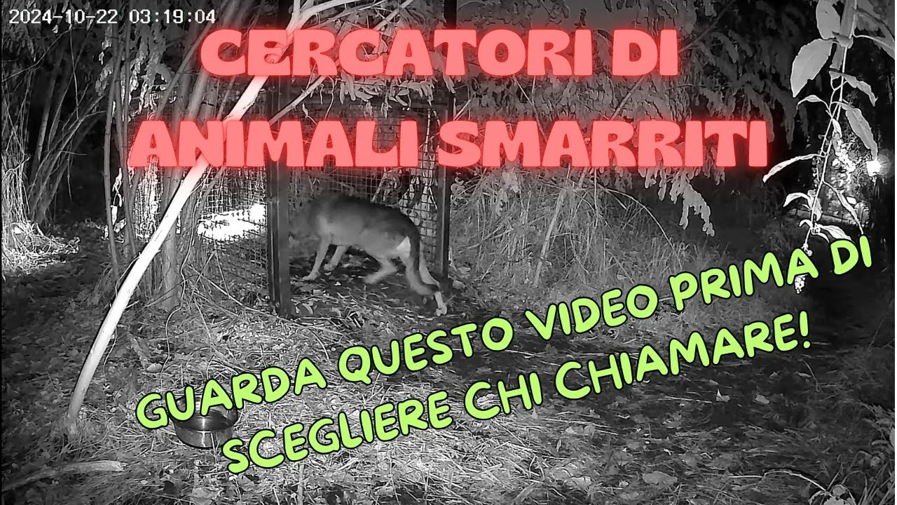 Anteprima video su come riconoscere un cercatore professionista competente