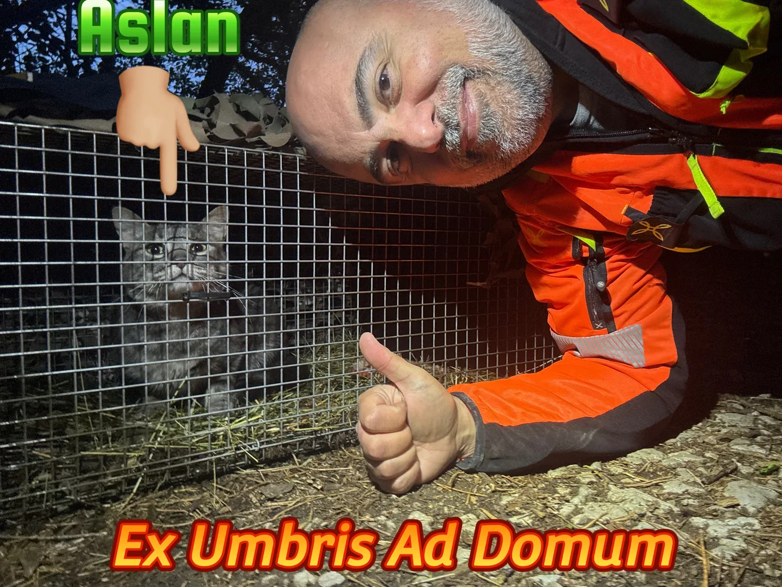 Marco Benini con un gatto dopo un recupero